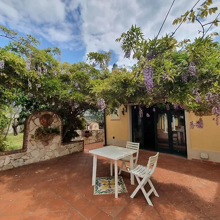 Orchidea By Interhome * アレネッラ