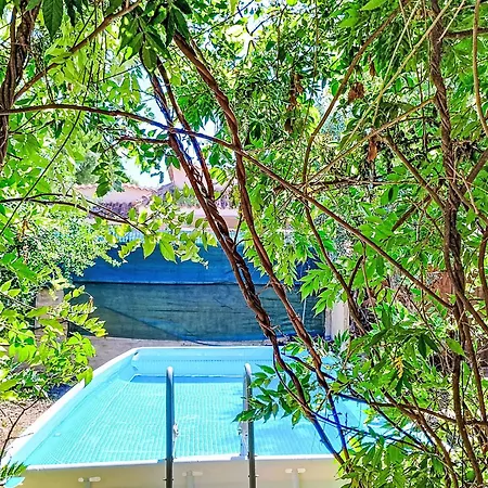 Orchidea By Interhome Villa